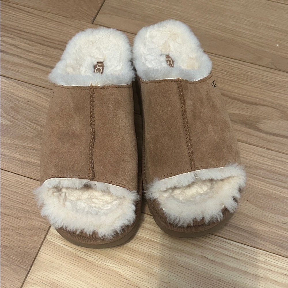 UGG Women's Chestnut Suede Sheepskin Mule Slippers